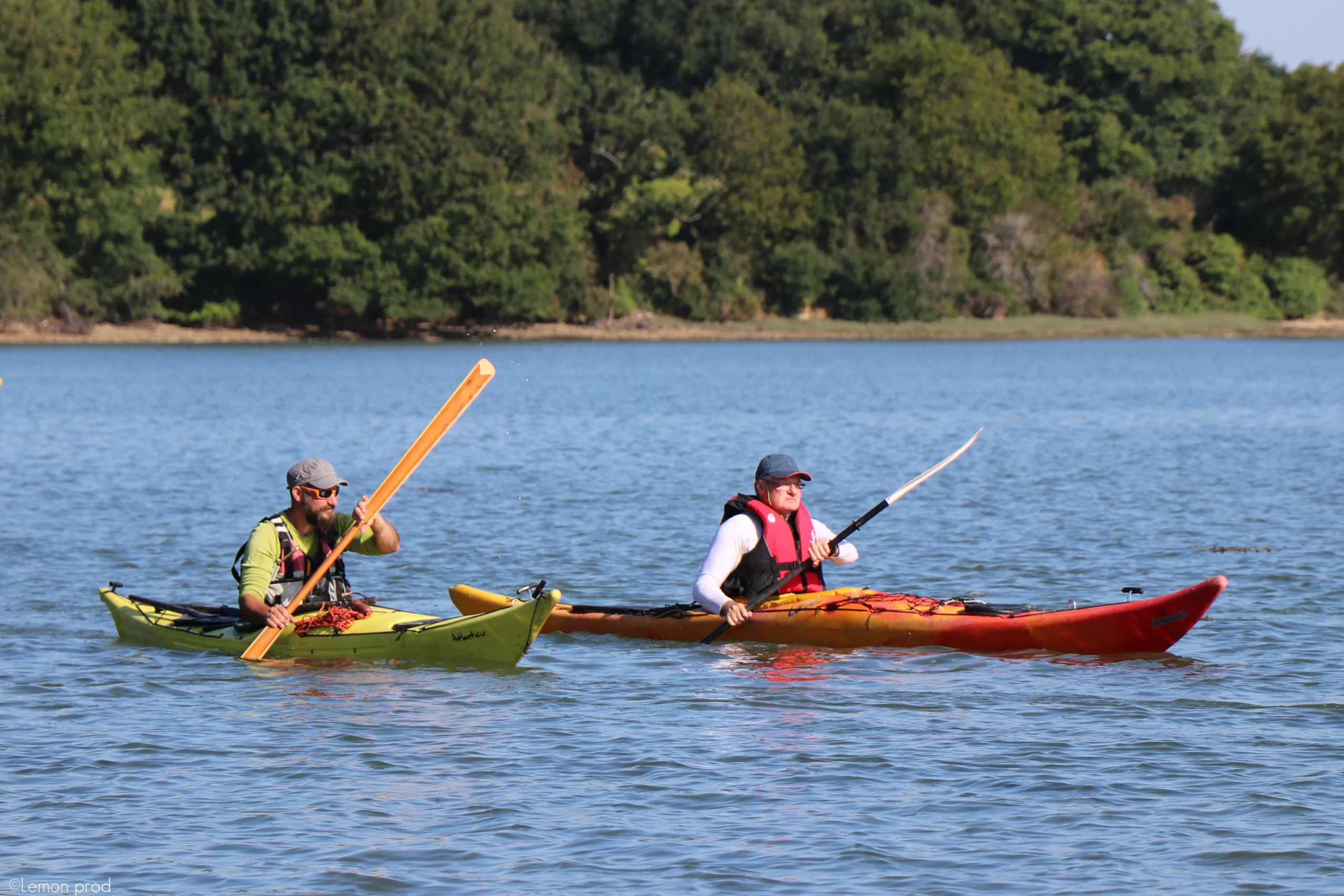 kayak